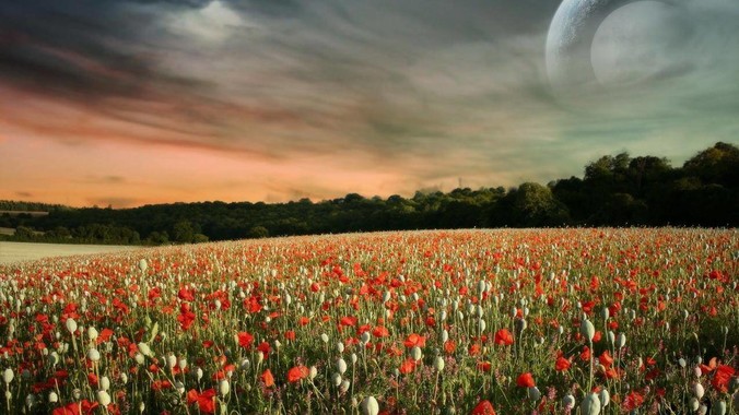 独立开发***能盈利吗？感觉好累...